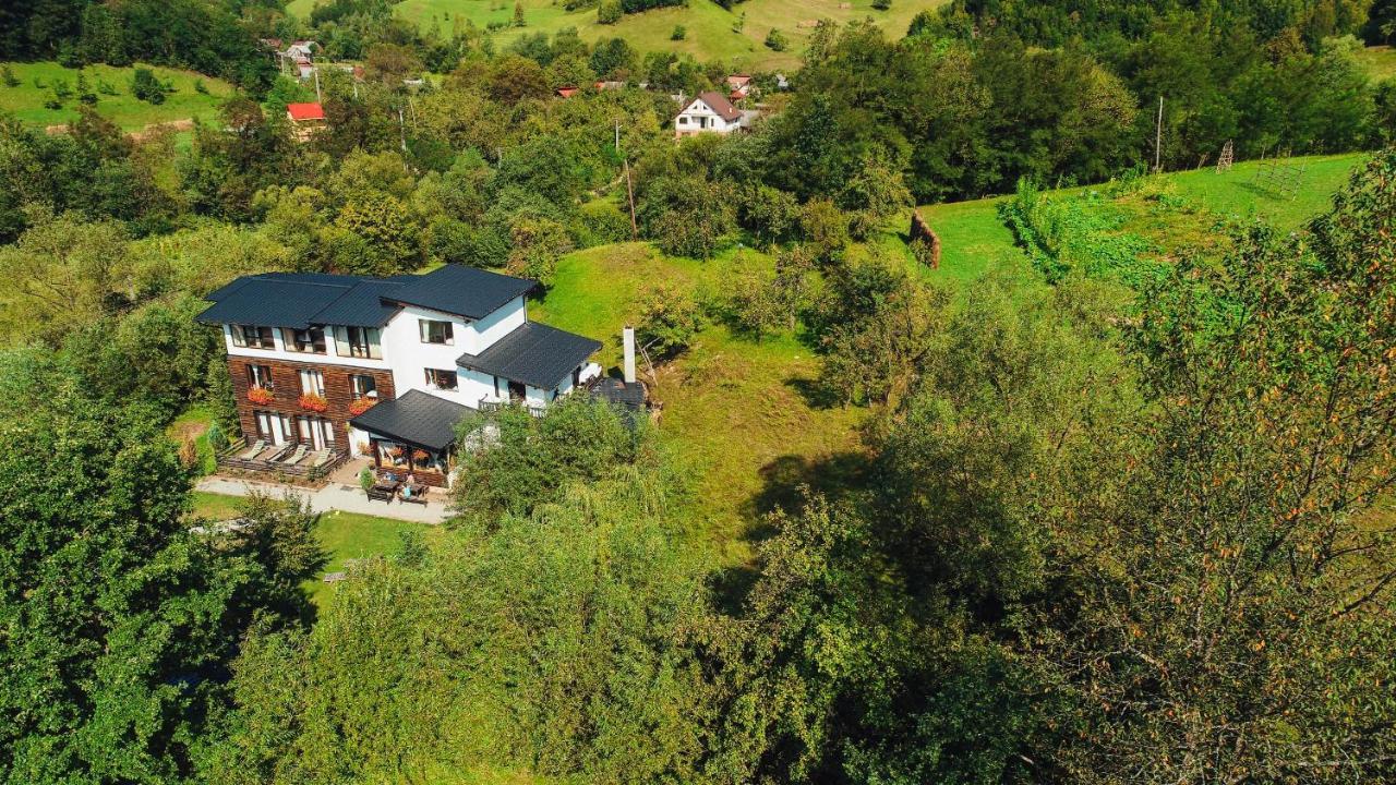 Talhaus Hotel Vişeu de Sus Eksteriør billede