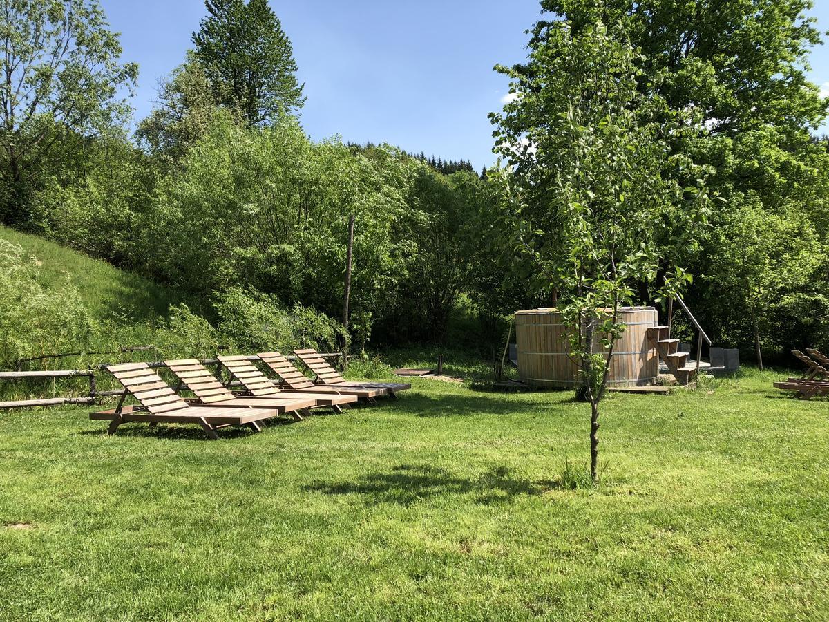 Talhaus Hotel Vişeu de Sus Eksteriør billede